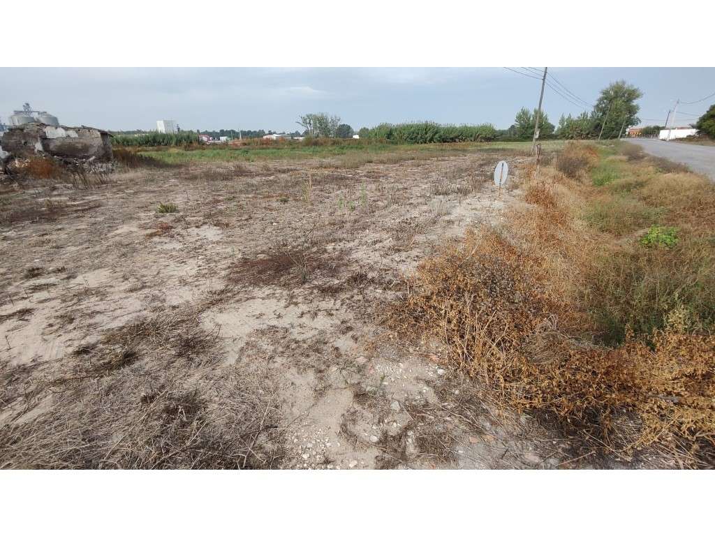 Terreno/ construção de moradias- Foros Salvaterra de Magos - Grande imagem: 2/6