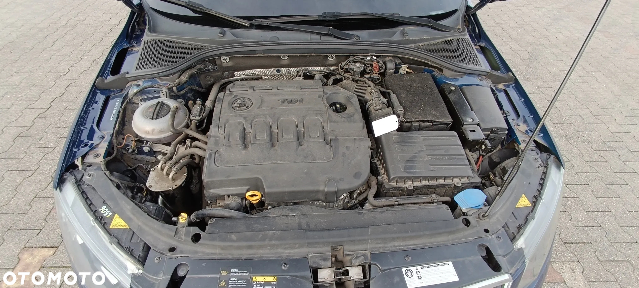 Skoda Octavia 1.6 TDI Ambition - 12