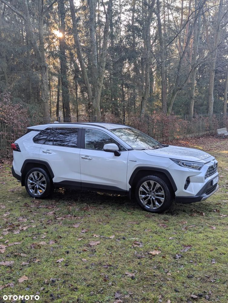 Toyota RAV4 2.5 Hybrid Executive 4x4 - 8