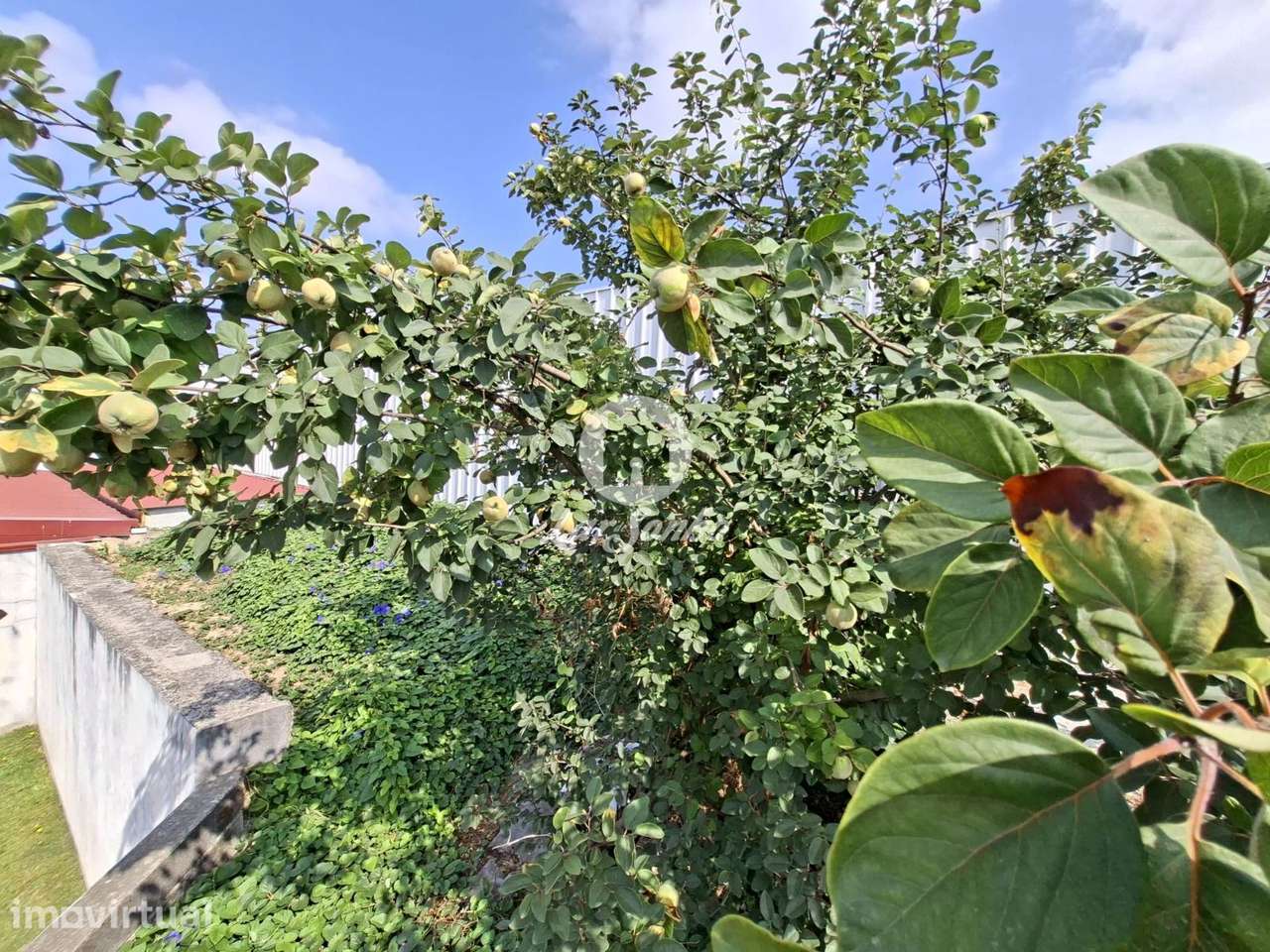 Terreno de Construção com 900 m² em Novais, Vila Nova de Famalicão - Grande imagem: 4/14