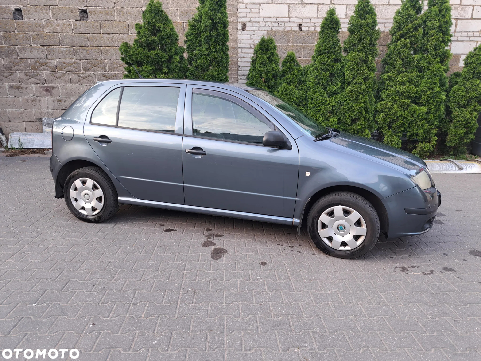 Skoda Fabia - 3