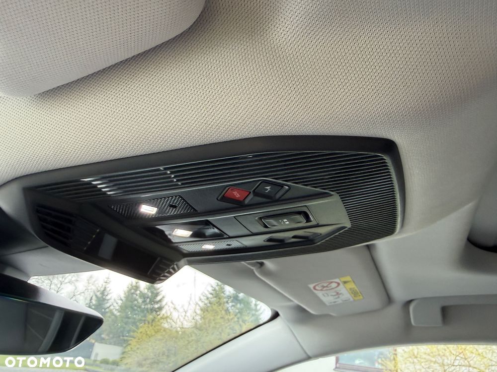 DS Automobiles DS 4 1.6 E-Tense Performance Line - 28