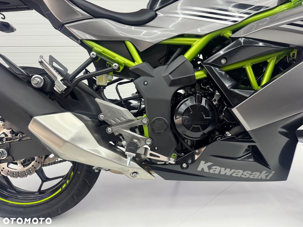Kawasaki Ninja - 25