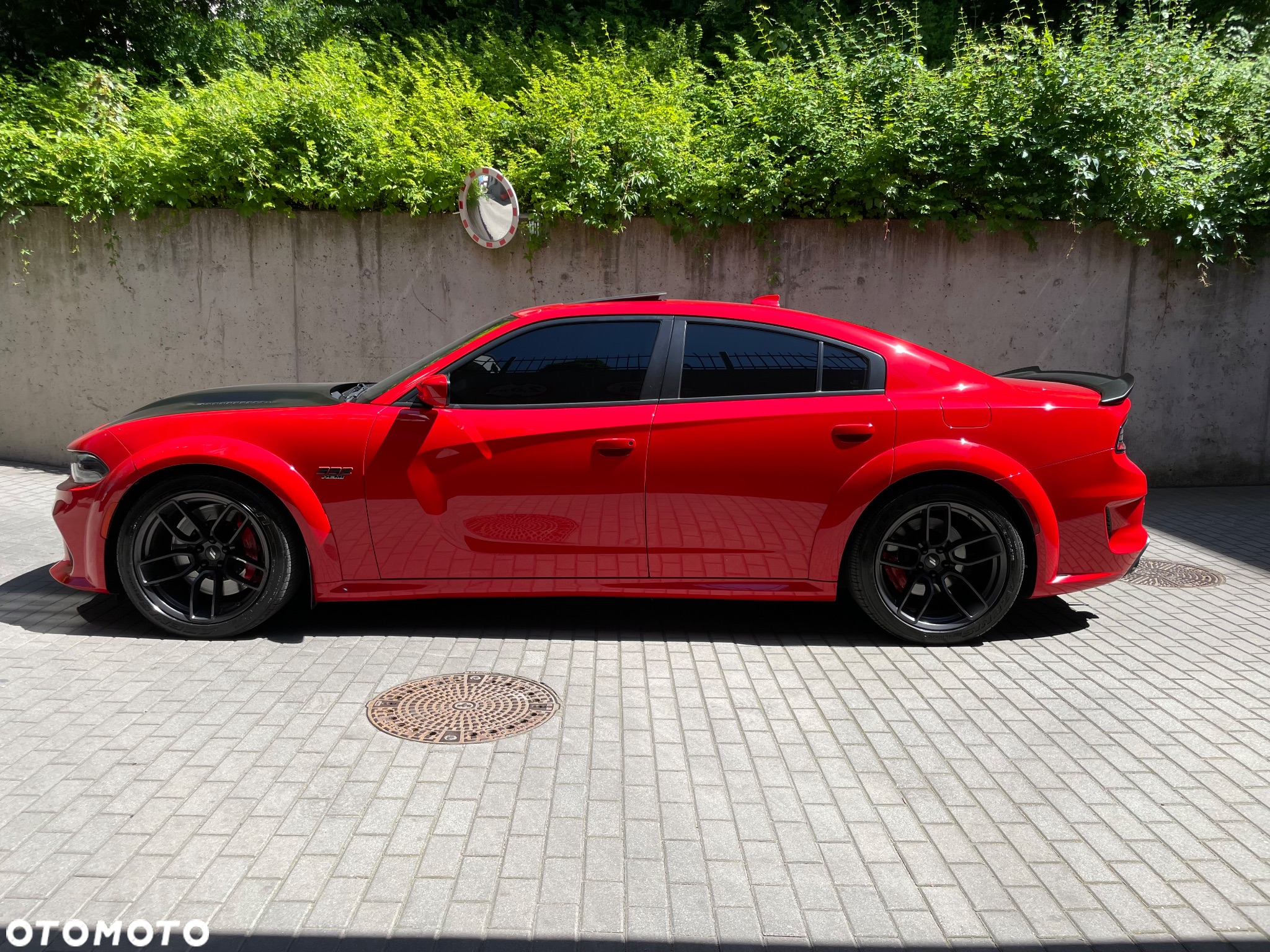 Dodge Charger 6.4 Scat Pack Widebody - 3