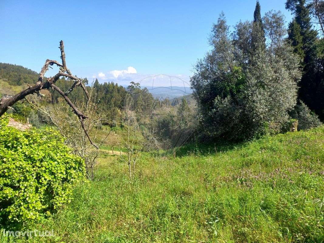 Moradia T0 para venda - Grande imagem: 3/9