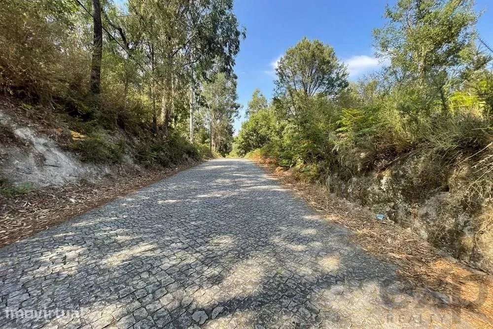 Terreno de 1420 m² em Lousada: Oportunidade Imperdível! - Grande imagem: 4/4