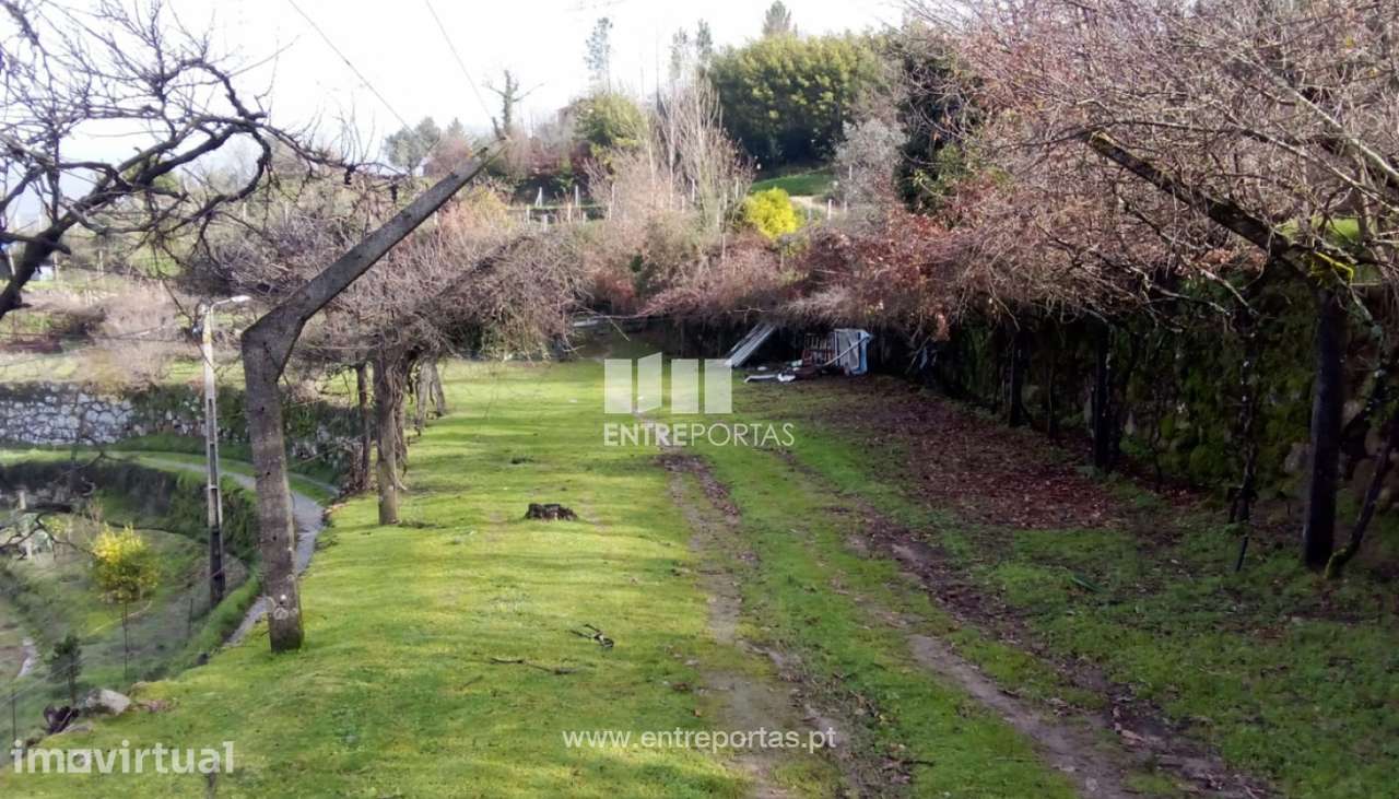 Venda Quinta, São Cristóvão de Nogueira, Cinfães - Grande imagem: 2/15
