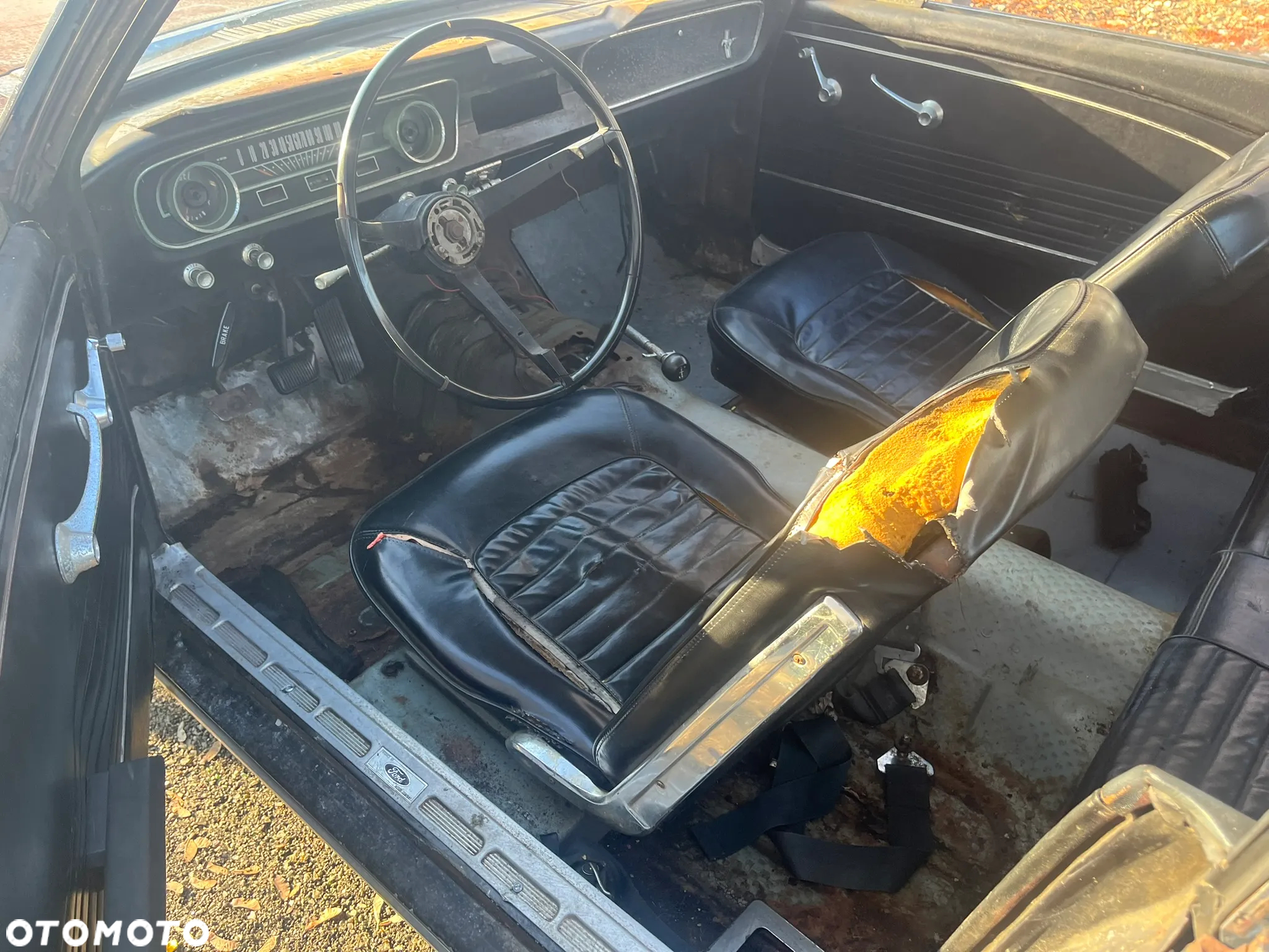 Ford Mustang - 9