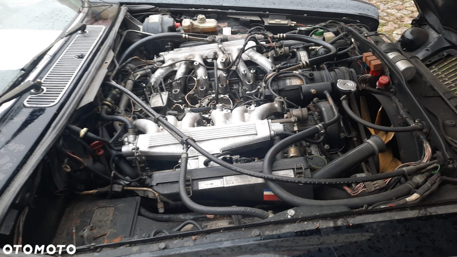 Jaguar XJ XJ12 6.0i - 21