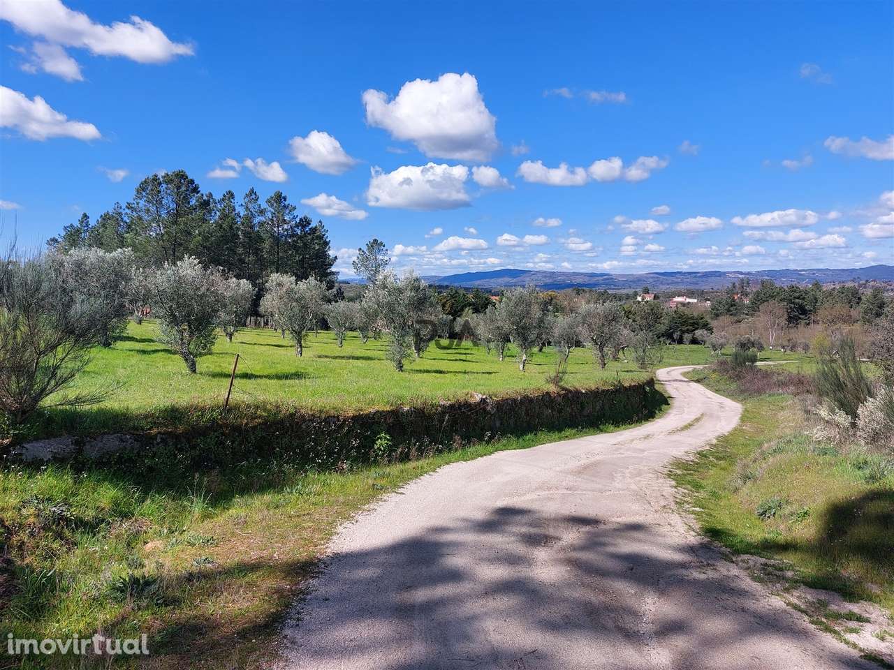 Quinta 1Ha em Vila Cortês da Serra - Grande imagem: 2/13