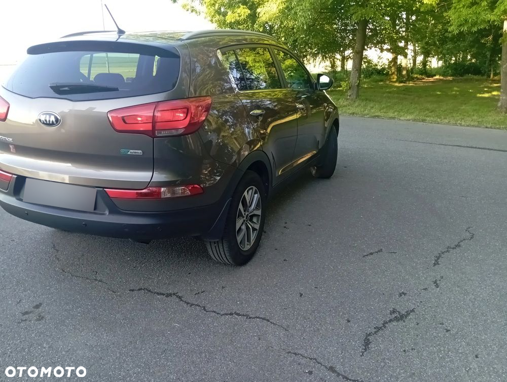 Kia Sportage 1.6 GDI Business Line M 2WD - 19