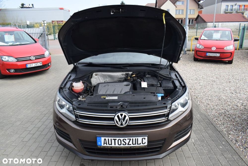 Volkswagen Tiguan - 13