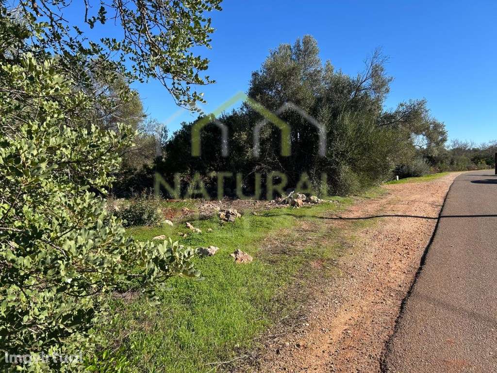 Terreno Rústico de Vistas Panorâmicas - Alte - Grande imagem: 3/5