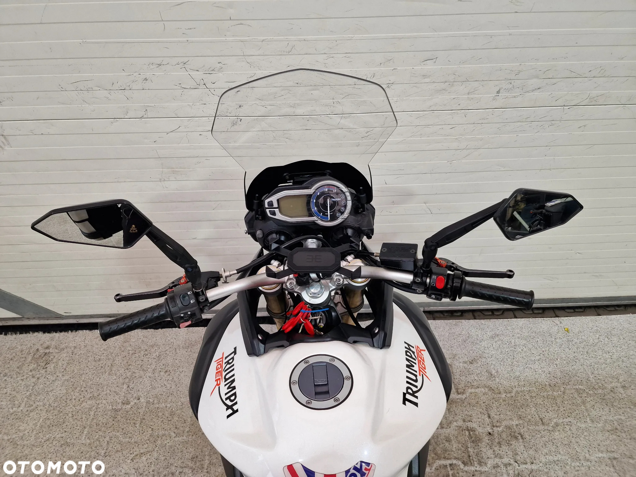 Triumph Tiger - 31