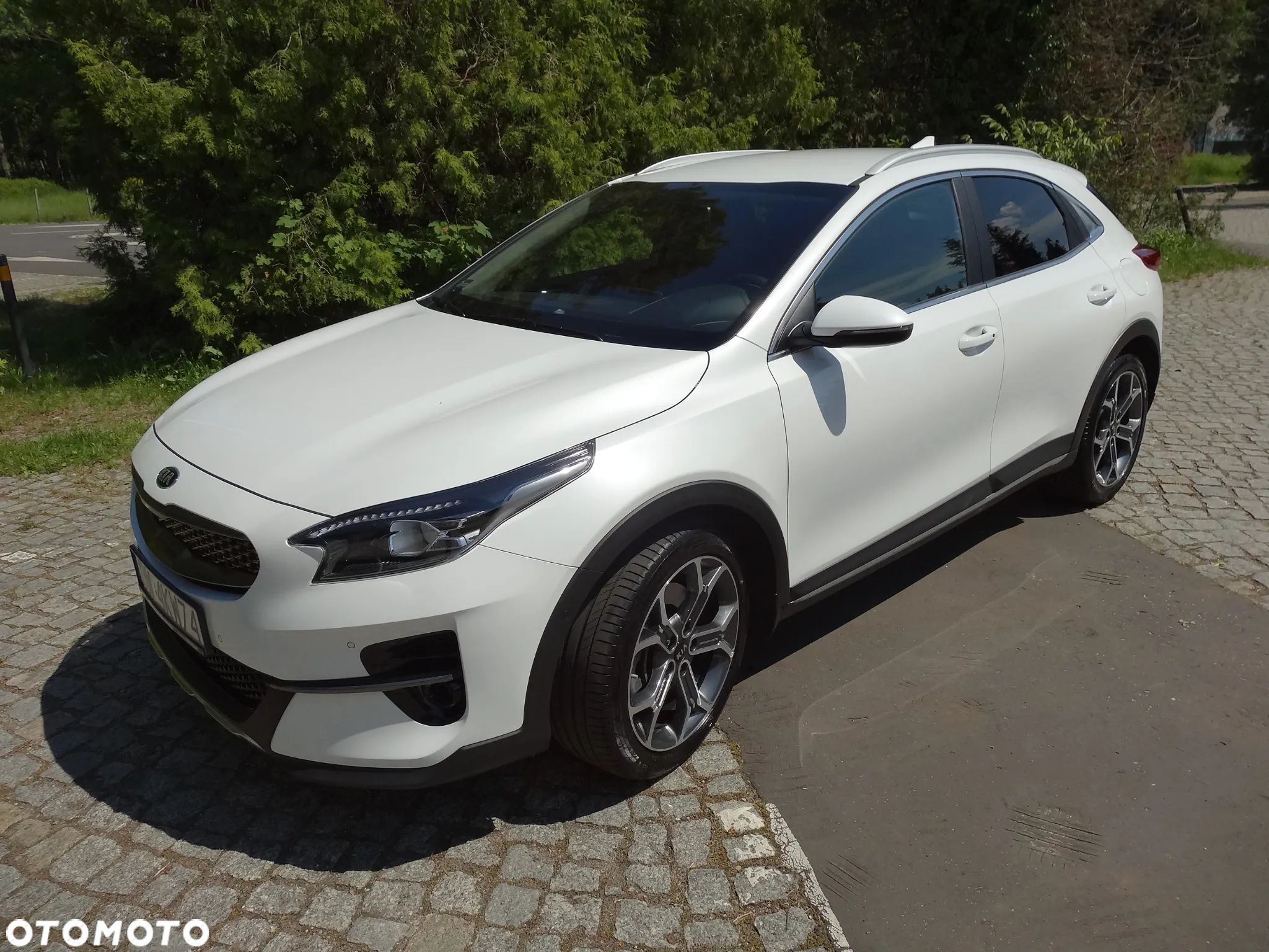 Kia XCeed 1.6 T-GDI L Business Line DCT - 1