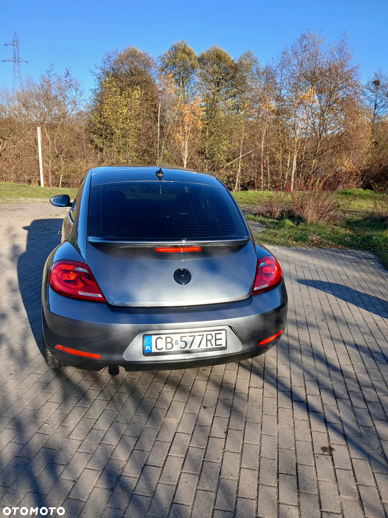 Volkswagen New Beetle - 4