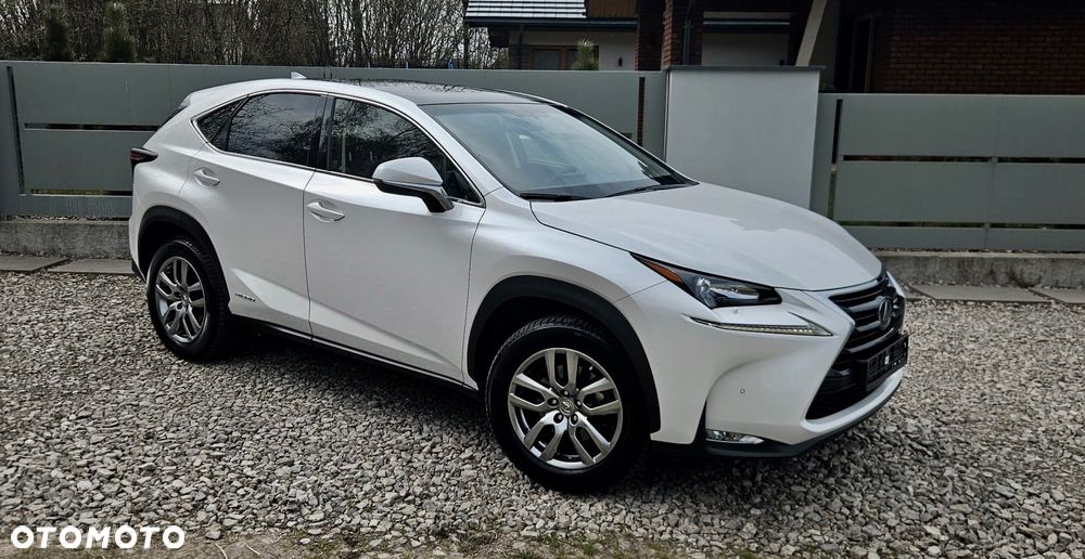 Lexus NX 300h Executive Line - 1