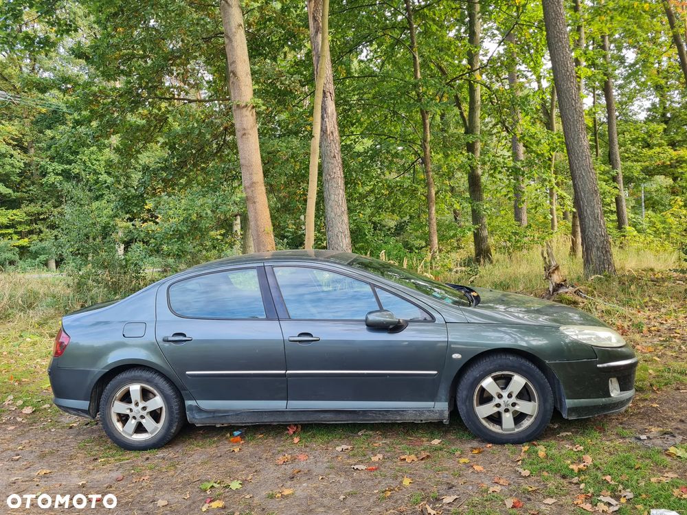 Peugeot 407 - 3