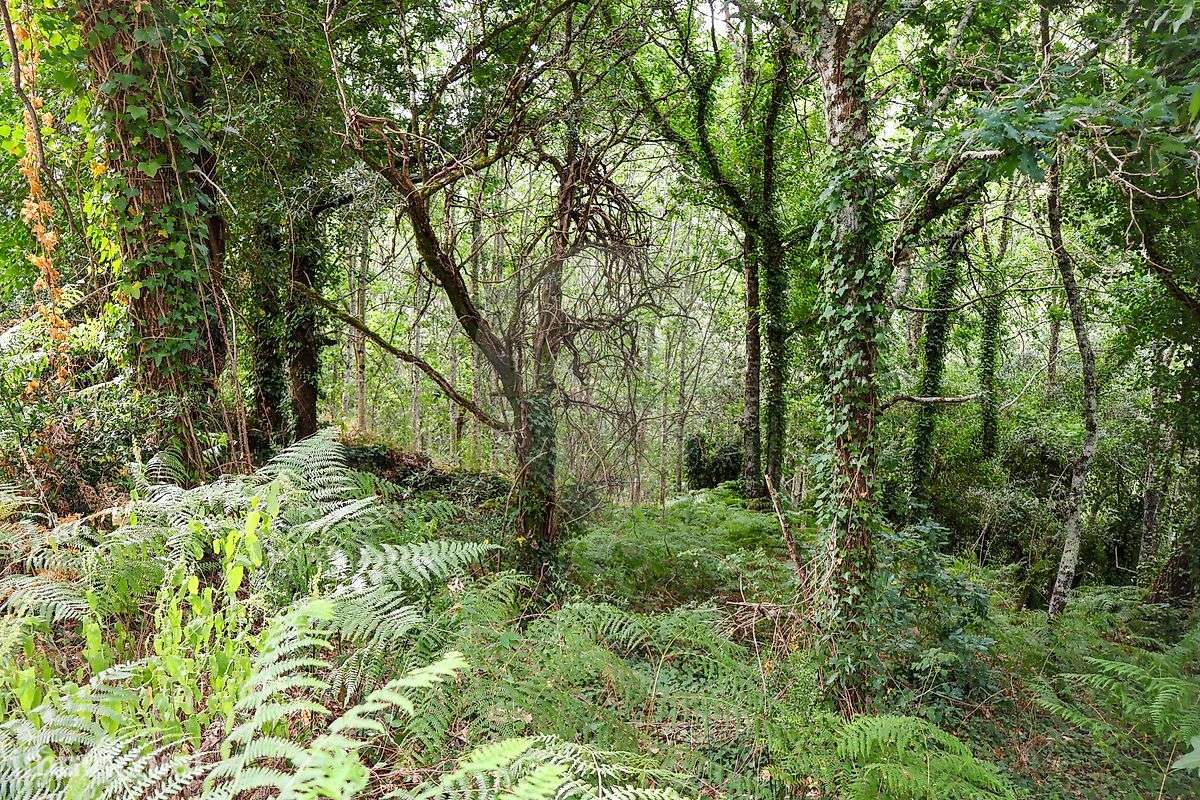 Terreno  para venda - Grande imagem: 4/5