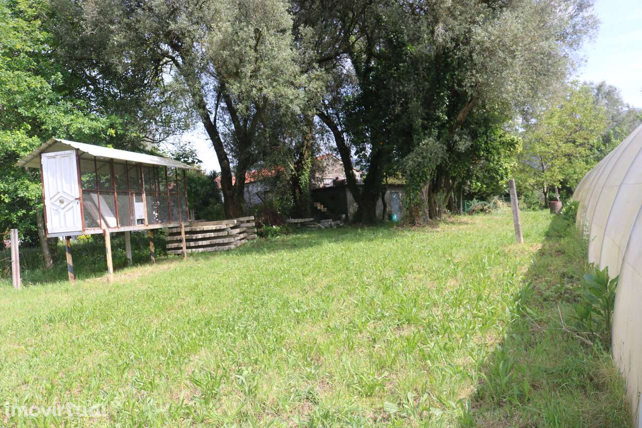 Propriedade com 5.200 m2 e moradia para restauro em V. Verde Braga. - Grande imagem: 4/18