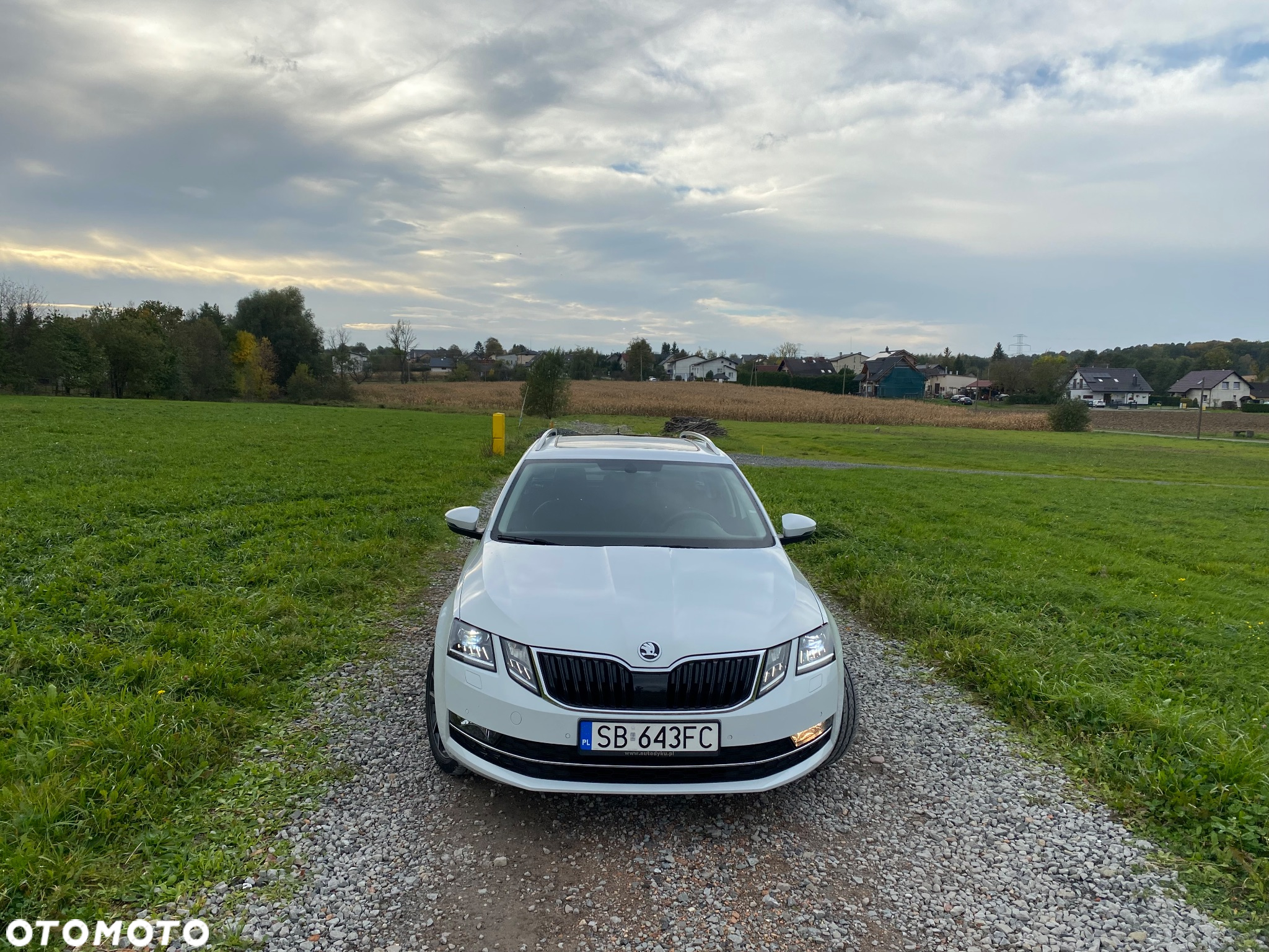 Skoda Octavia 1.6 TDI DSG Style - 12