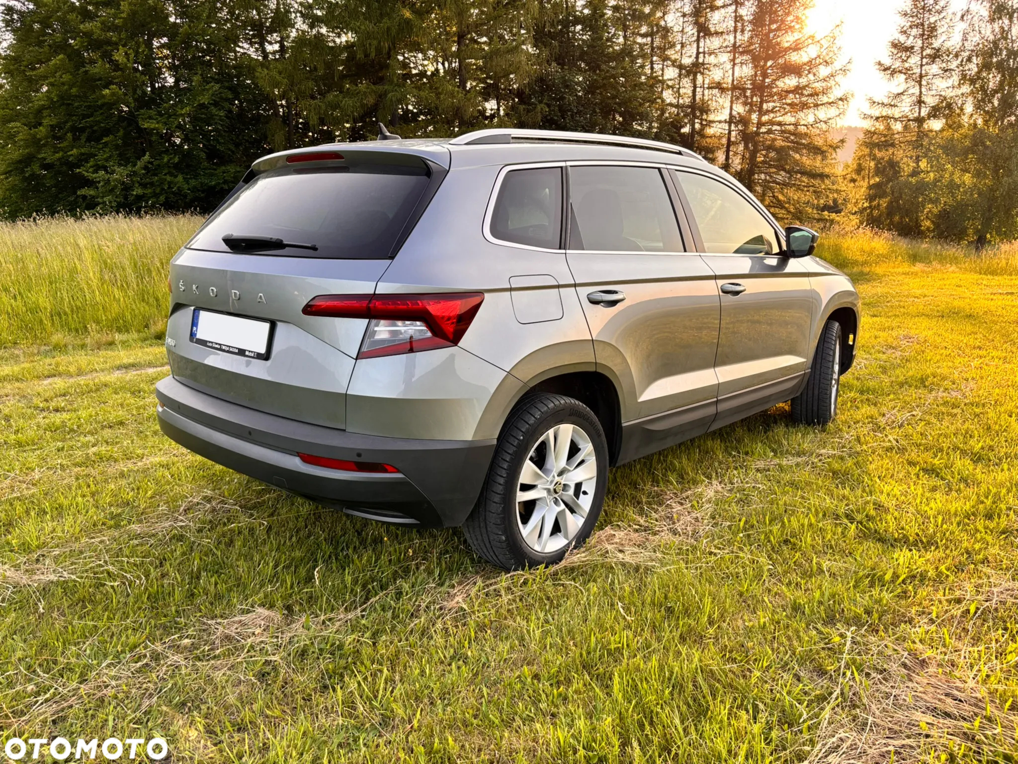 Skoda Karoq - 3