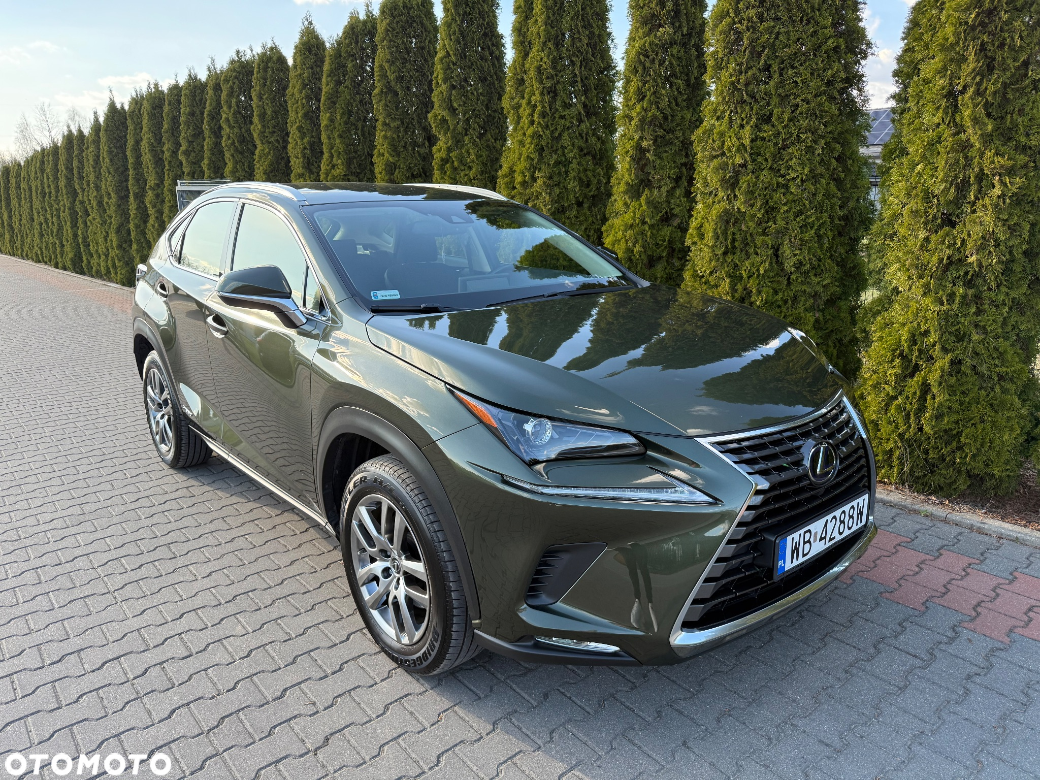 Lexus NX - 2