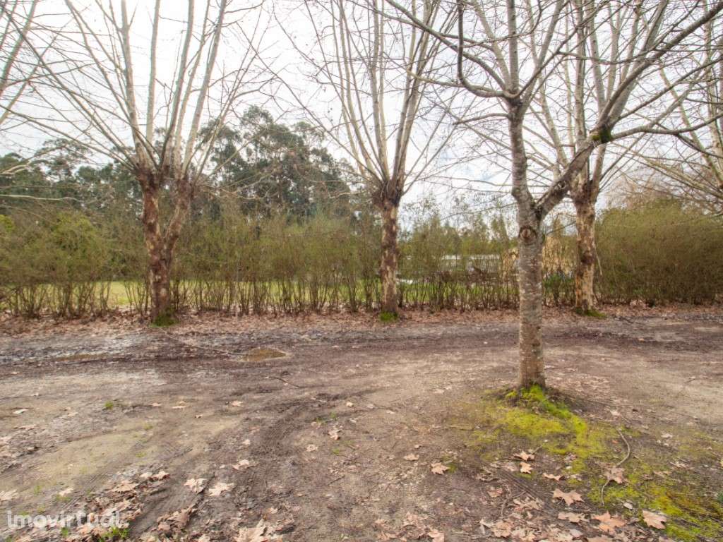 Lote de Terreno - Grande imagem: 3/17