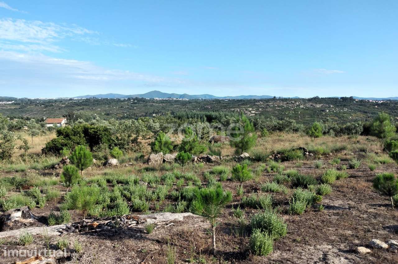 Terreno 1490m2 em Lagares - Coimbra - Grande imagem: 5/15