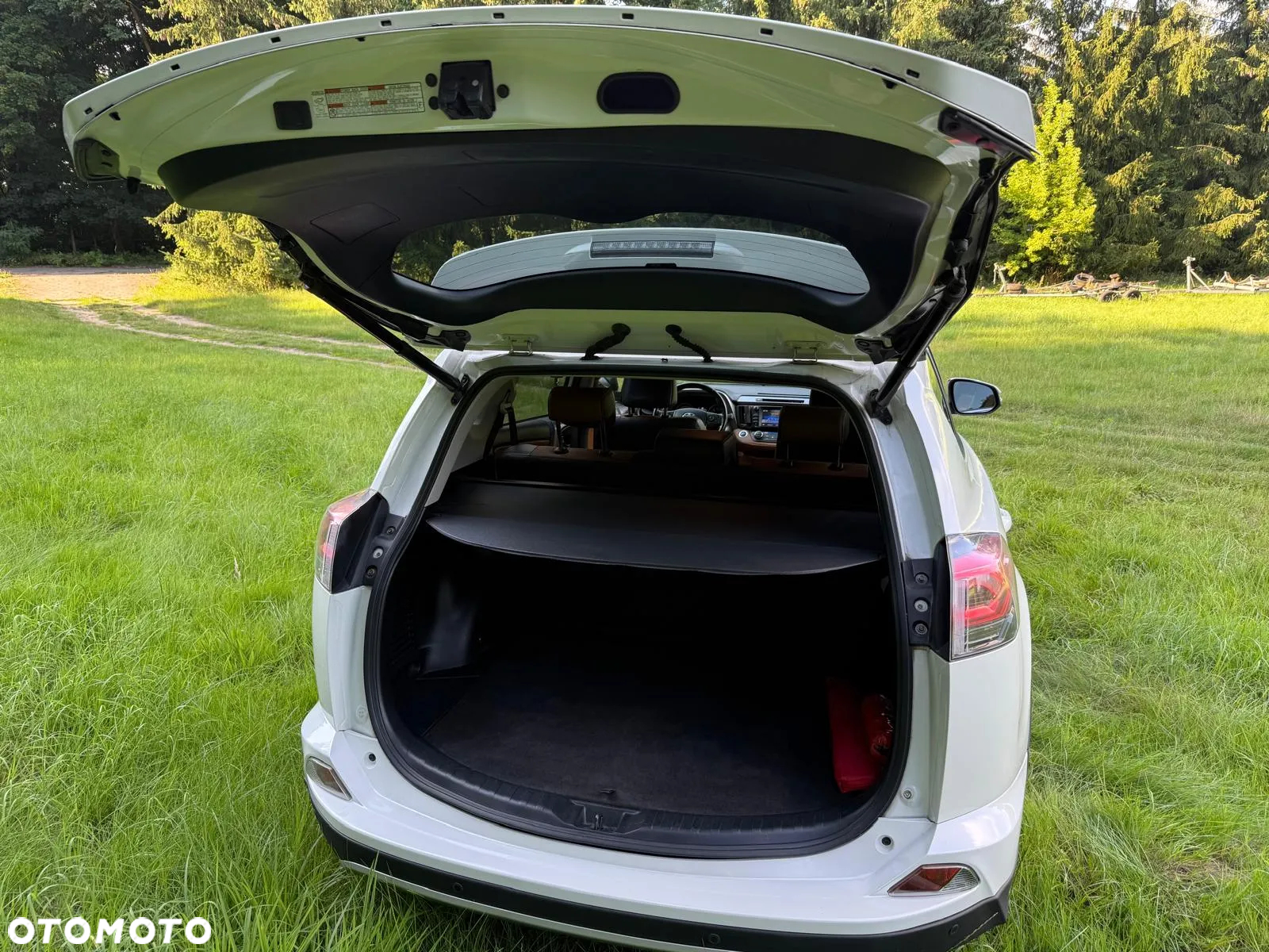 Toyota RAV4 2.5 4x2 Hybrid Comfort - 17