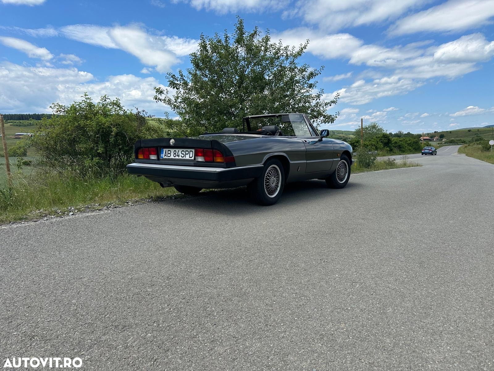 Alfa Romeo Spider - 3