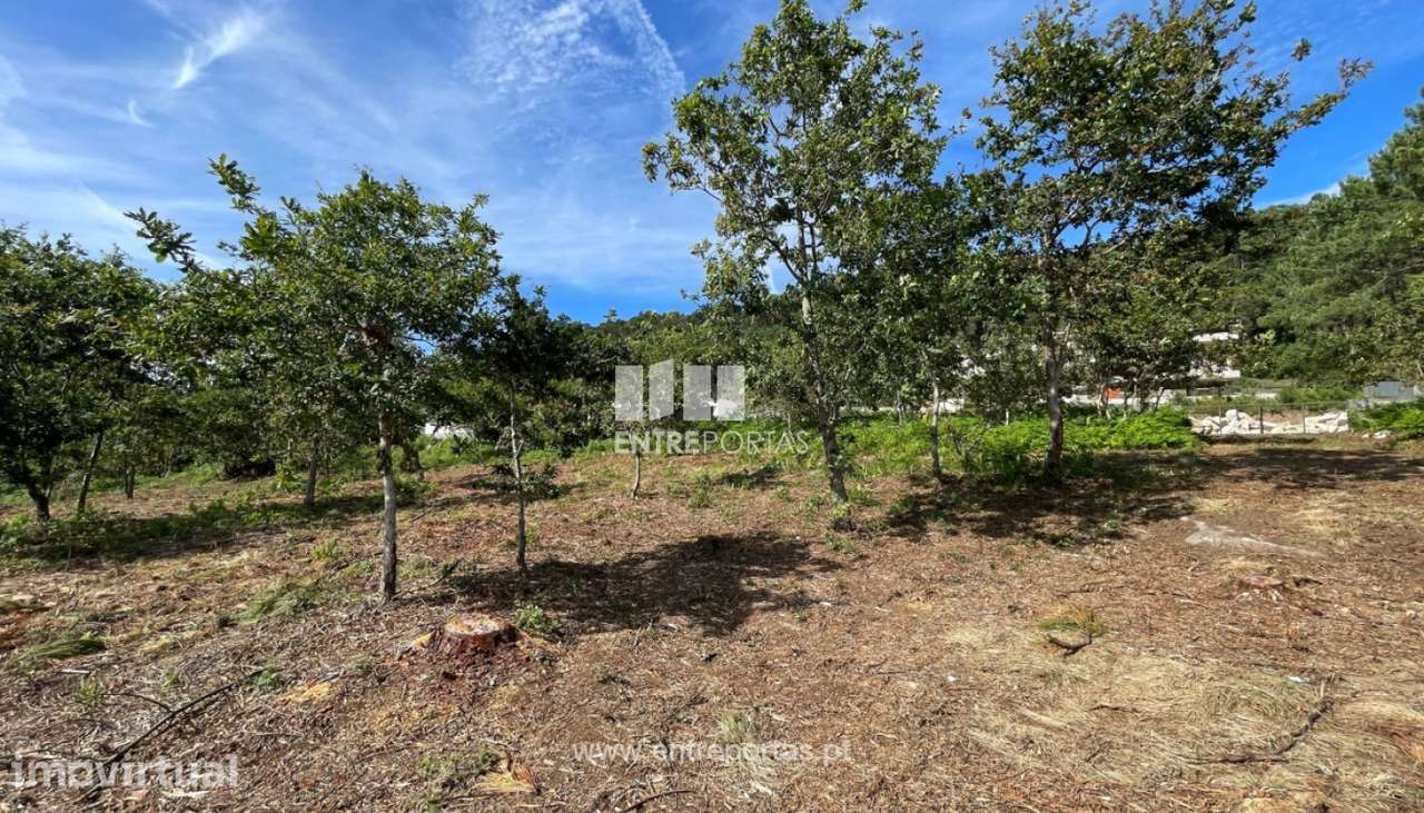 Venda de fantástico terreno para construção, Areosa, Viana do Caste - Grande imagem: 4/30