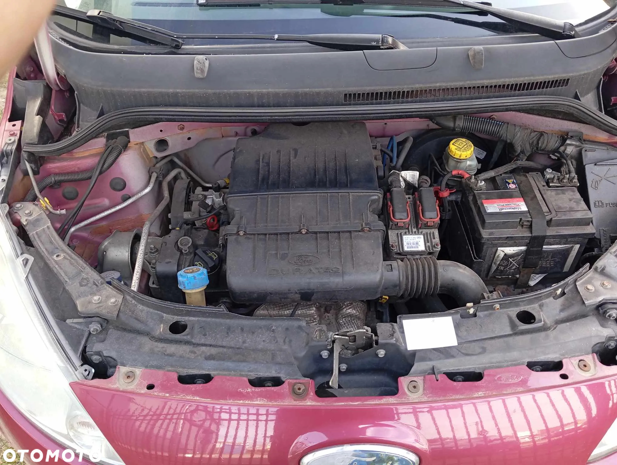 Ford KA - 11