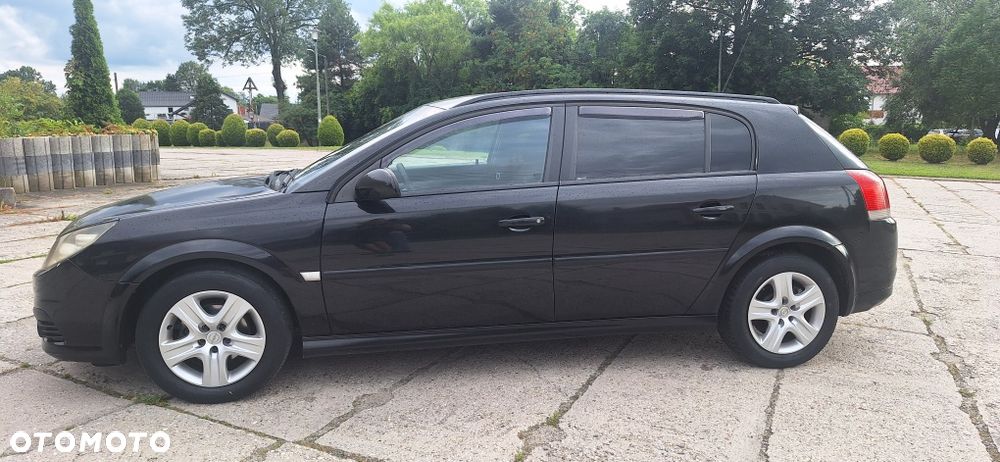 Opel Signum - 2