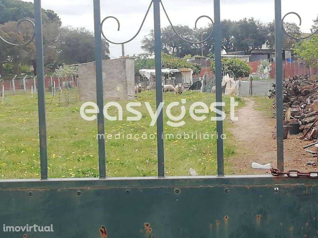 Terreno Urbano com 2693m de área localizado em Figueira dos Cavaleiros - Grande imagem: 3/6