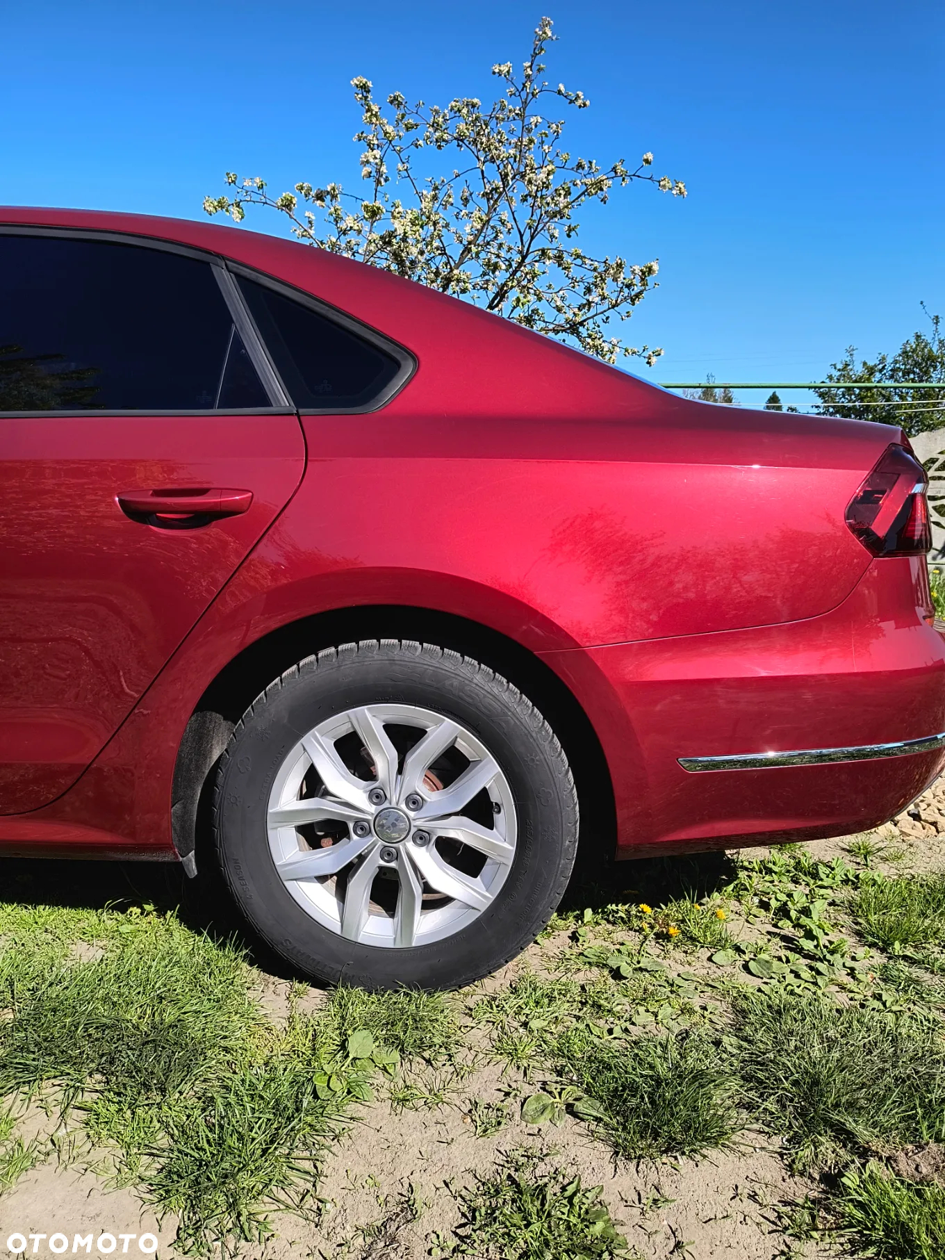 Volkswagen Passat - 11