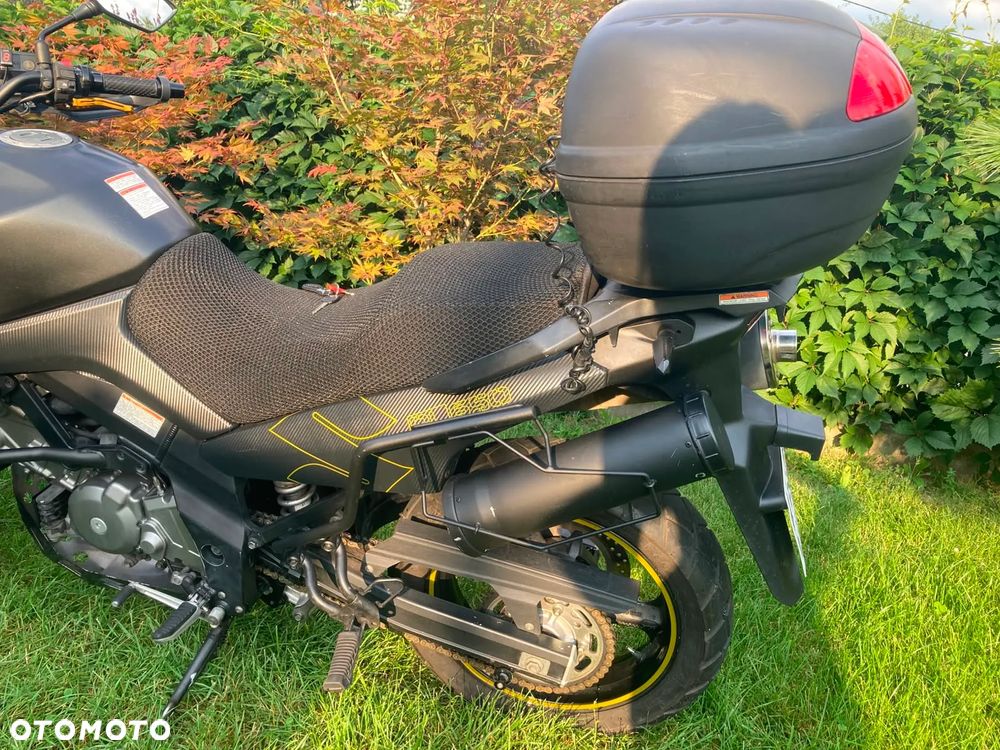 Suzuki DL - 13