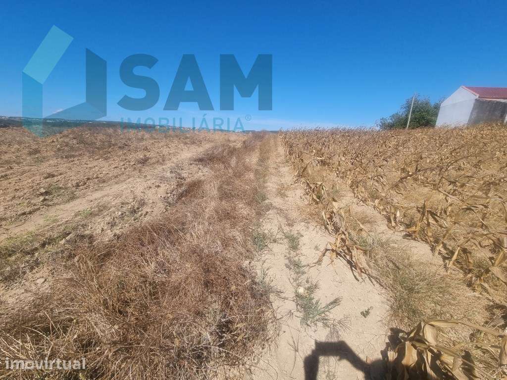 Terreno com Vista Desafogada em Área Urbanizável-Campelos - Grande imagem: 4/11