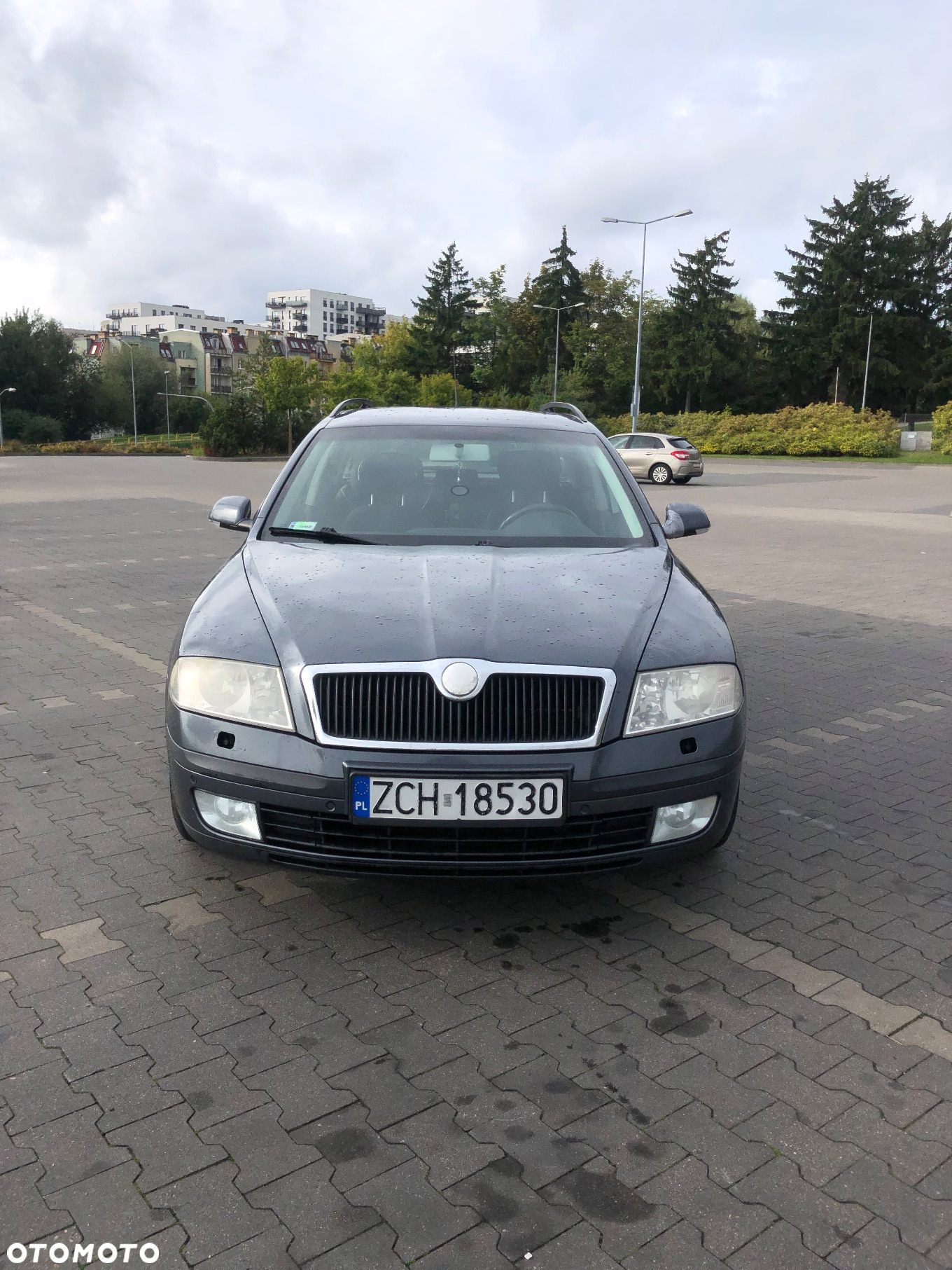 Skoda Octavia 1.9 TDI Elegance - 6