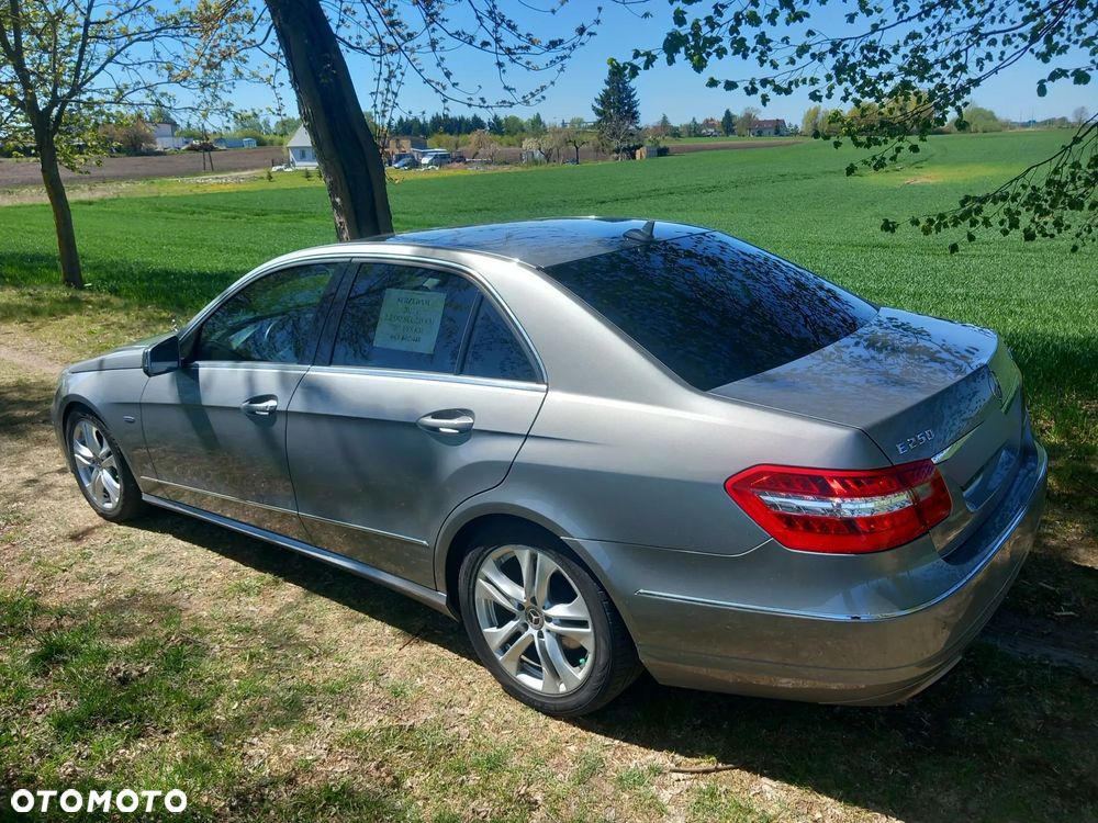 Mercedes-Benz Klasa E 250 CDI 4-Matic BlueEff Avantgarde - 30