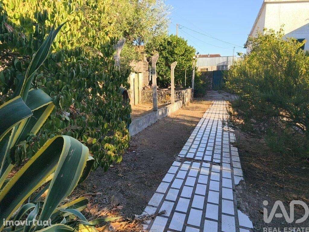 Casa / Villa T5 em Canas de Senhorim de 760,00 m2 - Grande imagem: 3/29