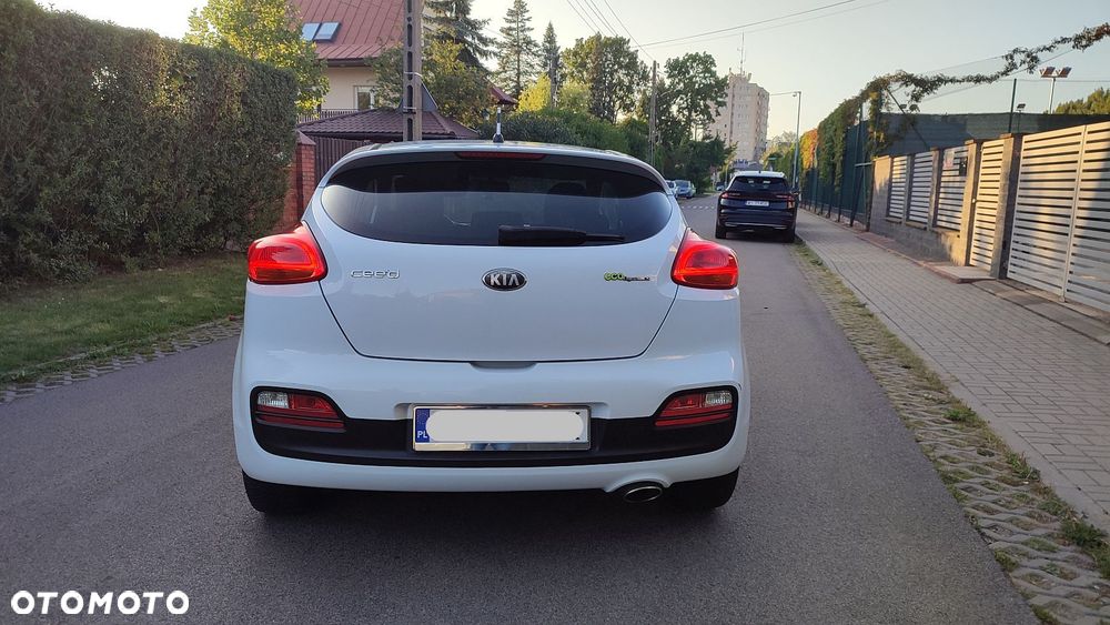 Kia ProCeed 1.6 crdi Optimum - 25