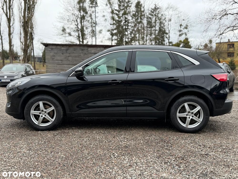 Ford Kuga 2.0 EcoBlue 4x4 ST-LINE - 13