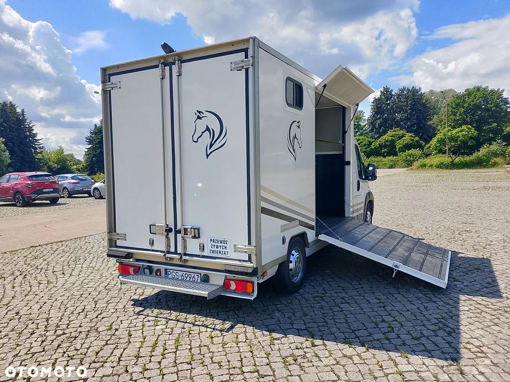 Fiat Ducato Koniowóz - 9
