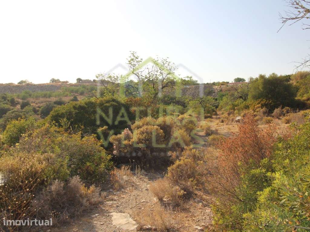 2 Terrenos Rústicos de bons acesos e vista campo, Estoi - Grande imagem: 2/5