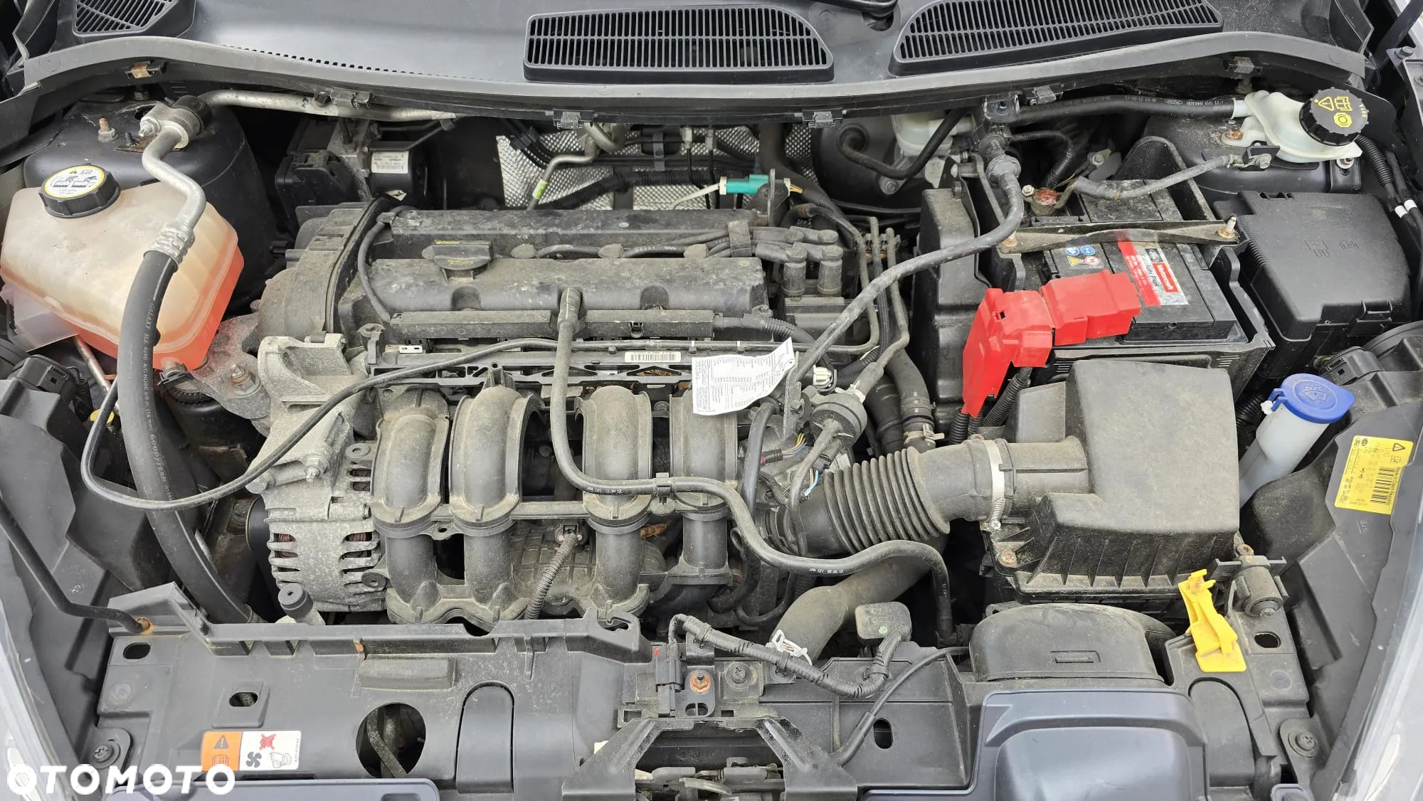 Ford Fiesta - 20