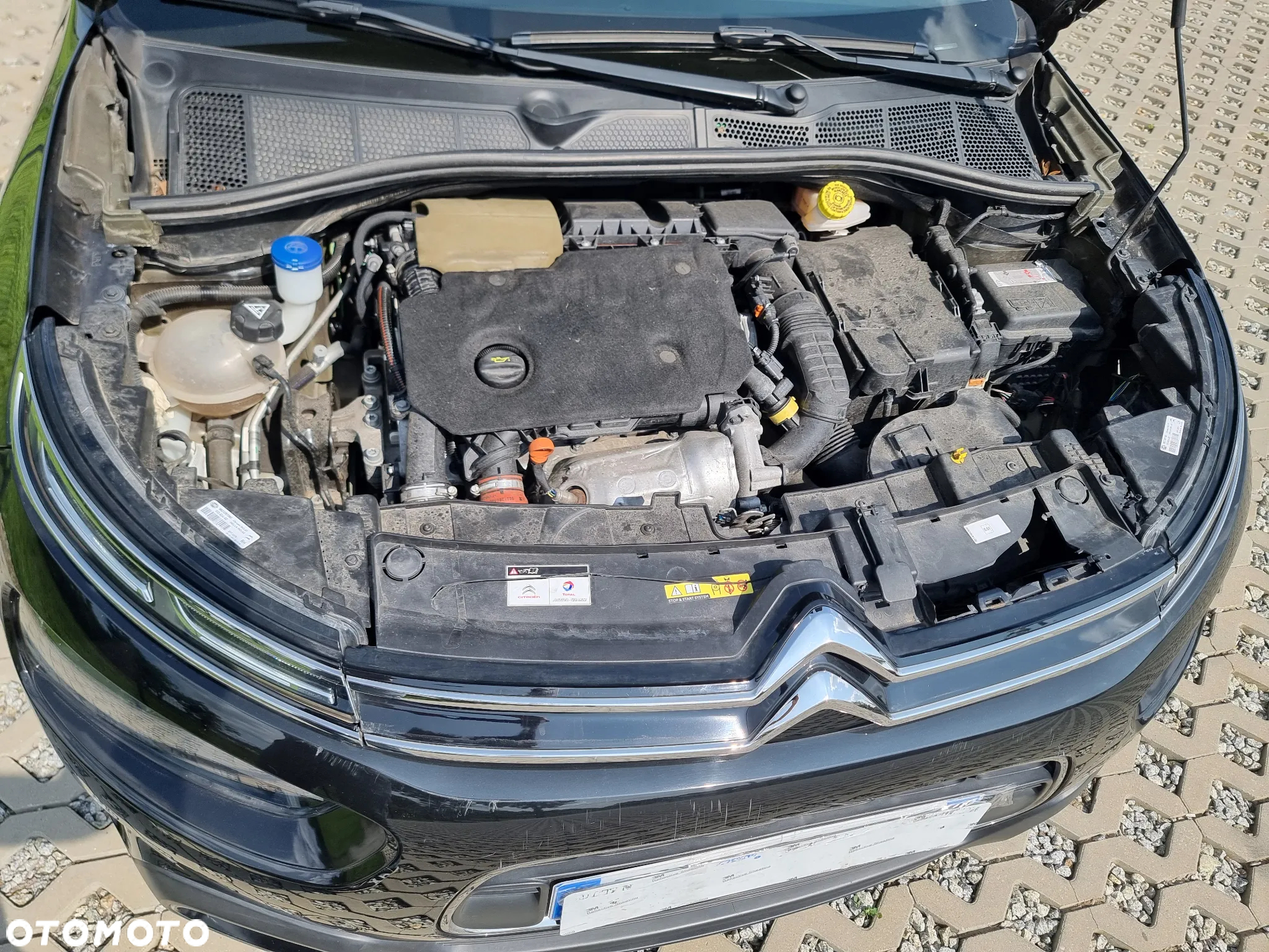 Citroën C4 Cactus 1.5 BlueHDi Feel Pack - 17