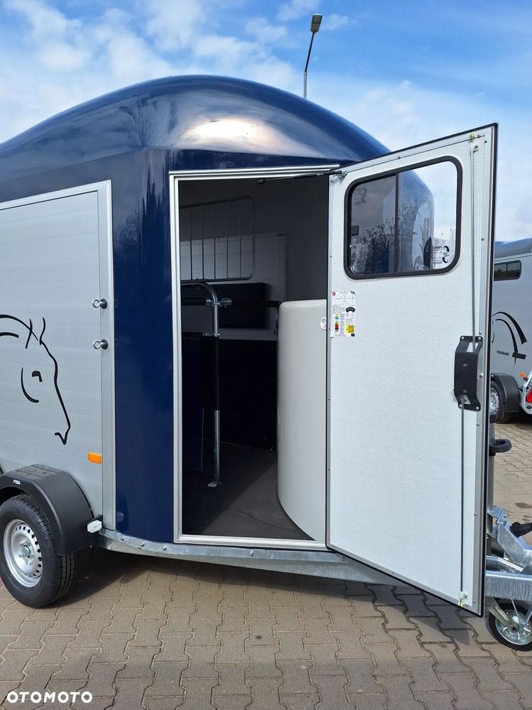 Cheval Liberte Gold Origin Debon - 8