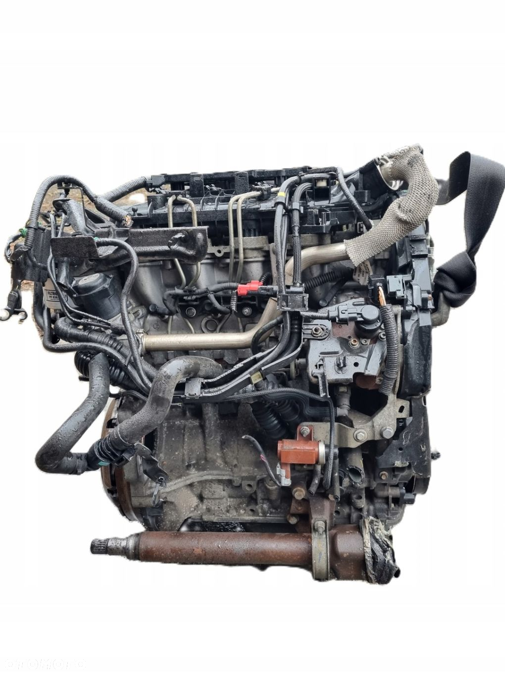 FORD FIESTA MK7 08-17 SILNIK 1,6 TDCI PRZEBIEG 160 TYS EU 7V2Q6007CA - 3
