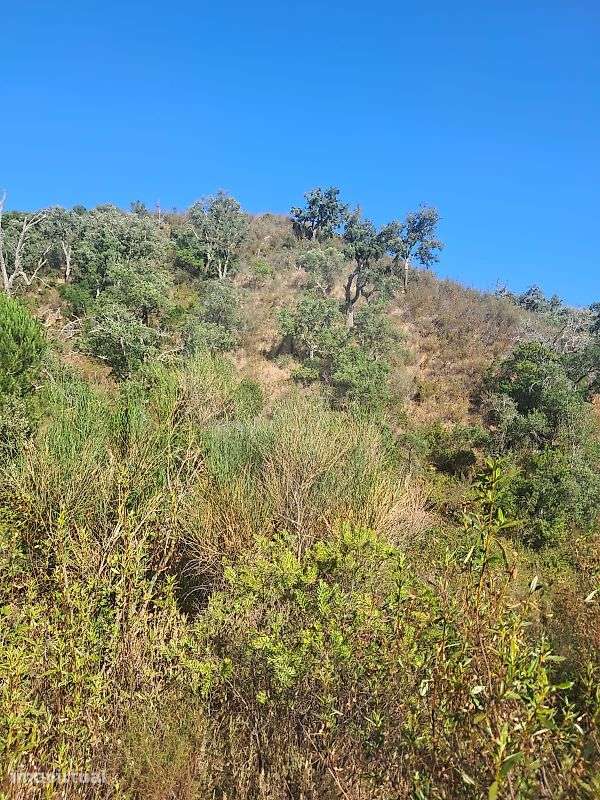 Terreno  para venda - Grande imagem: 4/4